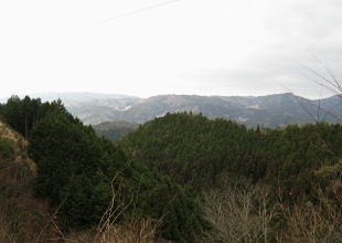 林道 萩谷岡山線 林道 萩谷岡山線
