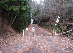 林道 田能線 林道 田能線