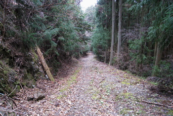 林道 原桧尾谷線 林道 原桧尾谷線