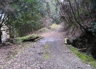 林道 原桧尾谷線 林道 原桧尾谷線