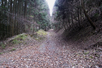 林道 原桧尾谷線 林道 原桧尾谷線