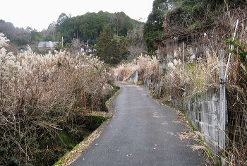 上萩谷方面 上萩谷方面