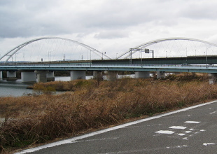 鳥飼大橋, 大阪モノレール 鳥飼大橋, 大阪モノレール
