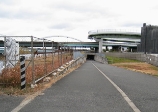 鳥飼大橋, 大阪モノレール 鳥飼大橋, 大阪モノレール