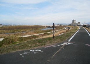 桂川サイクリングロード 桂川サイクリングロード