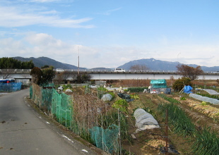 上野橋 上野橋