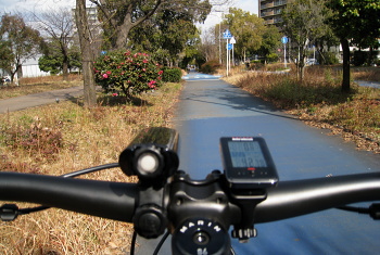 大野川緑陰道路(大野川グリーンロード) 大野川緑陰道路(大野川グリーンロード)