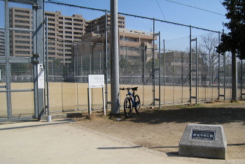 新高中央公園 新高中央公園